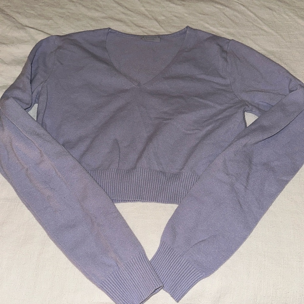 brandy melville cropped long sleeve